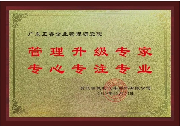 蔡總代表瑞德利公司授予正睿咨詢(xún)管理升級(jí)專(zhuān)家牌匾管理升級(jí)專(zhuān)家