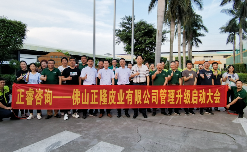助力皮革行業(yè)再樹標(biāo)桿——正隆皮業(yè)全面管理升級(jí)項(xiàng)目啟動(dòng)！