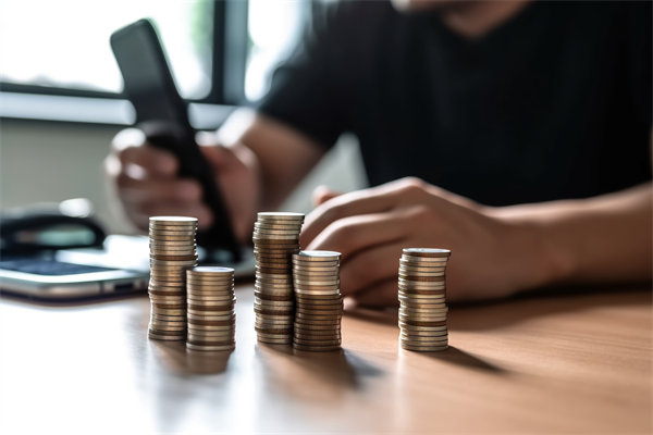 環(huán)境快速變化，如何確保預(yù)算執(zhí)行的靈活性和適應(yīng)性？