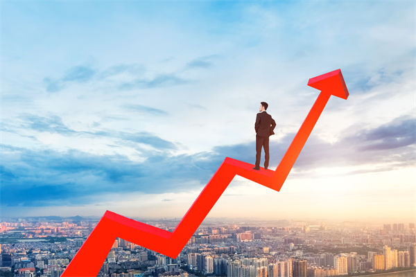 績效管理咨詢公司，能幫企業(yè)建立以結(jié)果為導向的體系嗎？