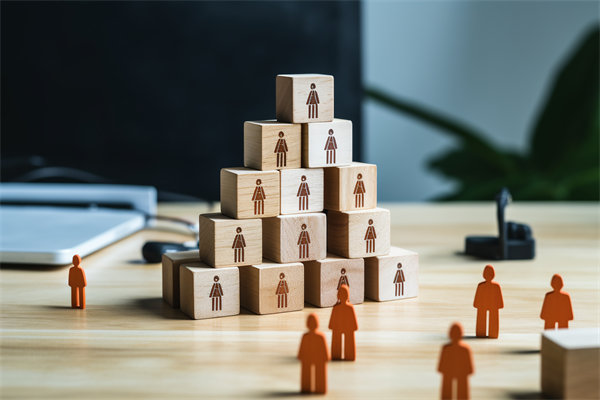 人力資源咨詢公司哪家好，適配企業(yè)戰(zhàn)略搭人才梯隊(duì)的