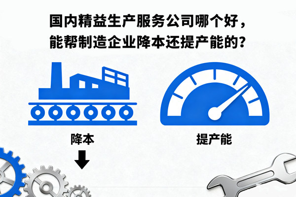 國(guó)內(nèi)精益生產(chǎn)服務(wù)公司哪個(gè)好，能幫制造企業(yè)降本還提產(chǎn)能的？