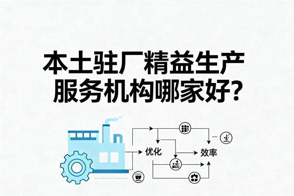 本土駐廠精益生產(chǎn)服務(wù)機(jī)構(gòu)哪家好？