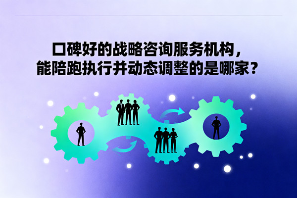 口碑好的戰(zhàn)略咨詢服務(wù)機構(gòu)，能陪跑執(zhí)行并動態(tài)調(diào)整的是哪家？