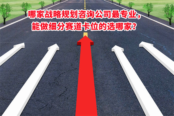 哪家戰(zhàn)略規(guī)劃咨詢公司最專業(yè)，能做細分賽道卡位的選哪家？